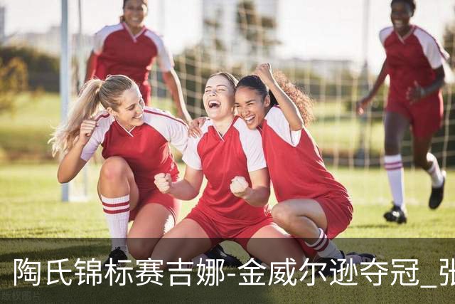 陶氏锦标赛吉娜-金/威尔逊夺冠 张维维/张雅惠T12